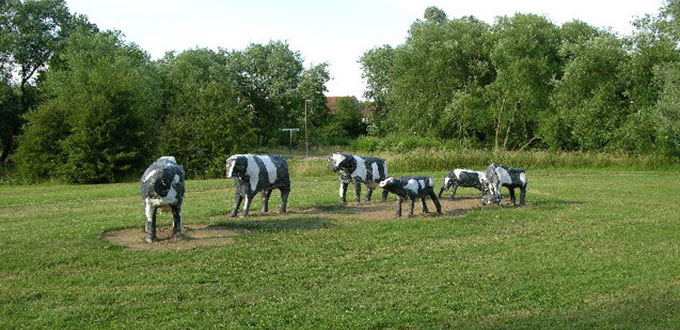 The Concrete Cows of Milton Keynes