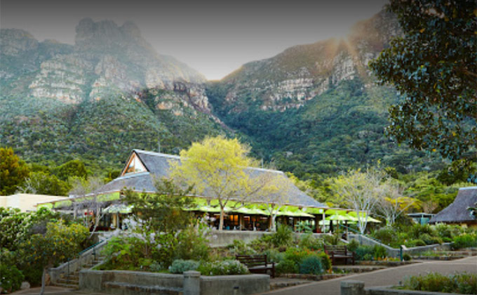 The Kirstenbosch Tea Room