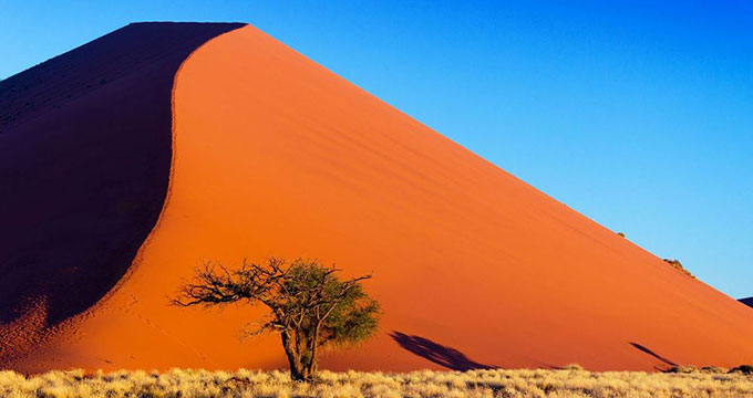 One of the high dunes of the Namib